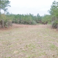 Hunting Investment Land for Sale Jefferson Davis County MS images 4