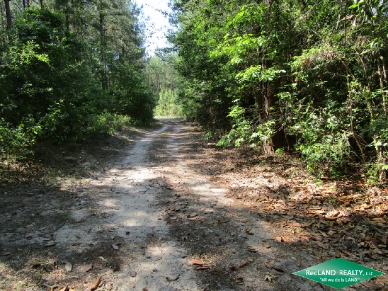 7 ac - Wooded Tract for Home Site featured image