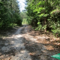 7 ac - Wooded Tract for Home Site