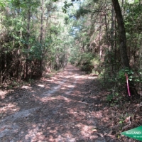 7 ac - Wooded Tract for Home Site images 2