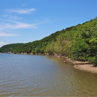 25.5 - Acres - N. 4435 Road Spavinaw OK 74366