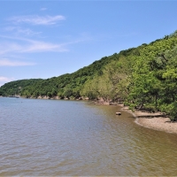 25.5 - Acres - N. 4435 Road Spavinaw OK 74366 images 2