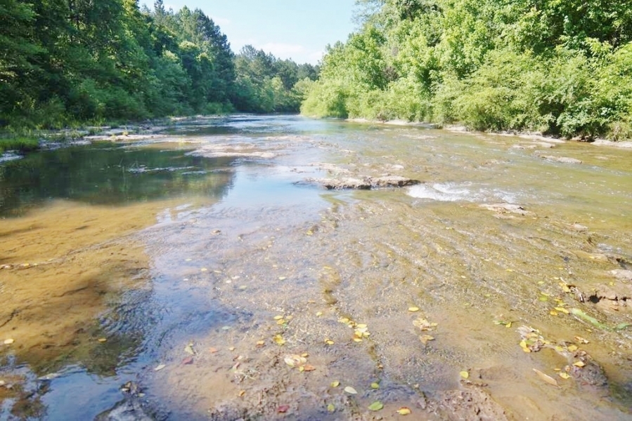 174 Acres Hunting Land on the Homochitto River Copiah Co MS Hunting