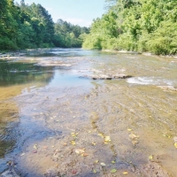 174 Acres Hunting Land on the Homochitto River Copiah Co MS