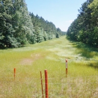 174 Acres Hunting Land on the Homochitto River Copiah Co MS images 2