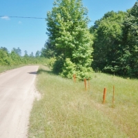 174 Acres Hunting Land on the Homochitto River Copiah Co MS images 3