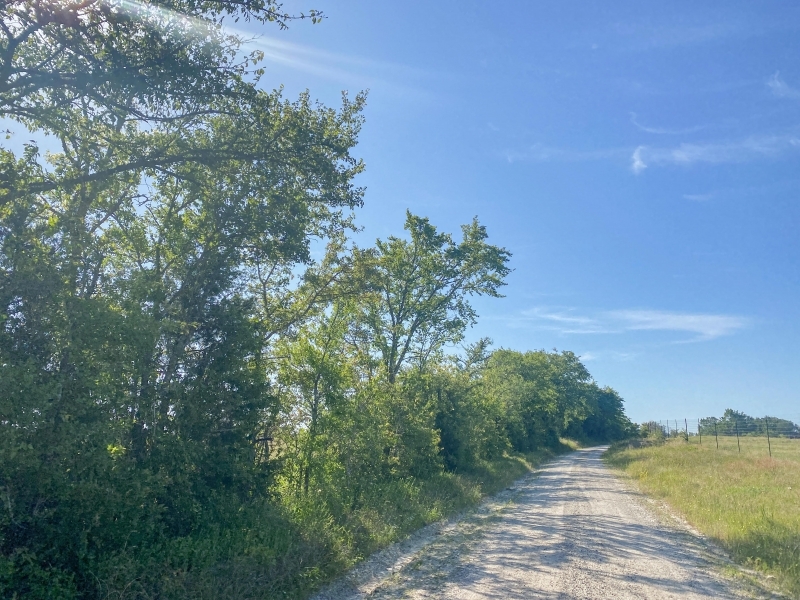 19 Acres Tract 10 Mustang Oaks featured image