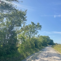 19 Acres Tract 10 Mustang Oaks