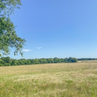 19 Acres Tract 10 Mustang Oaks images 3