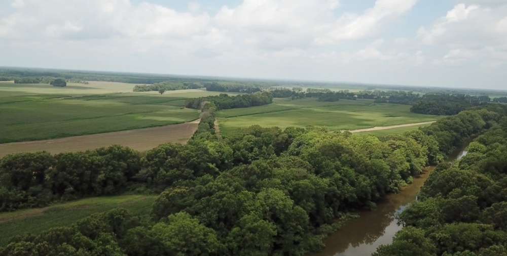 LA - Tensas Tucker 612 acres - featured image
