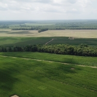LA - Tensas Tucker 612 acres - images 5