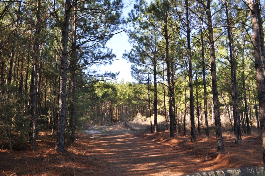 87 Ac Hopewell Road featured image