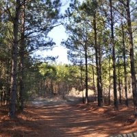87 Ac Hopewell Road
