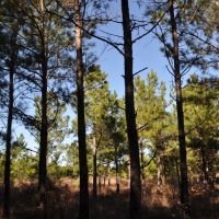87 Ac Hopewell Road images 4