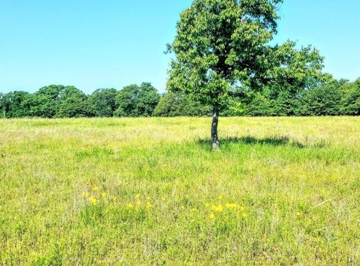 109 - Beautiful Location - Vacant Land featured image