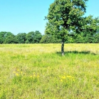 109 - Beautiful Location - Vacant Land