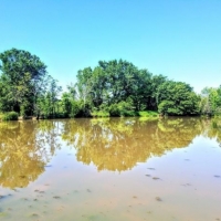 109 - Beautiful Location - Vacant Land images 6