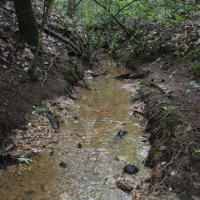 -9-Acres-Private Acreage near Landrum SC images 5