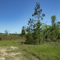23.60 Acres in Jefferson County images 2