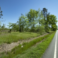 23.60 Acres in Jefferson County images 4