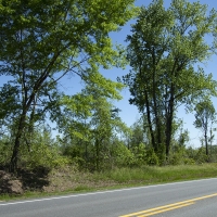 23.60 Acres in Jefferson County images 5