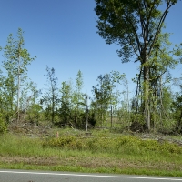 23.60 Acres in Jefferson County images 6