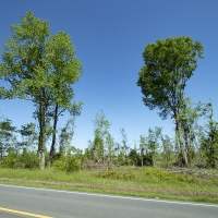 23.60 Acres in Jefferson County images 3