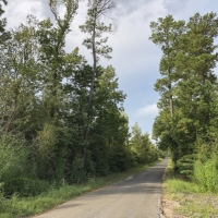 19.5 Acres Milvid Road Tract 3008