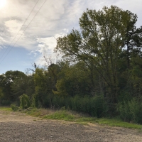 19.5 Acres Milvid Road Tract 3008 images 4