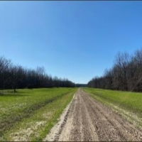 Equity Share with a Cabin at The Break Land Company LLC in Bolivar County MS images 2