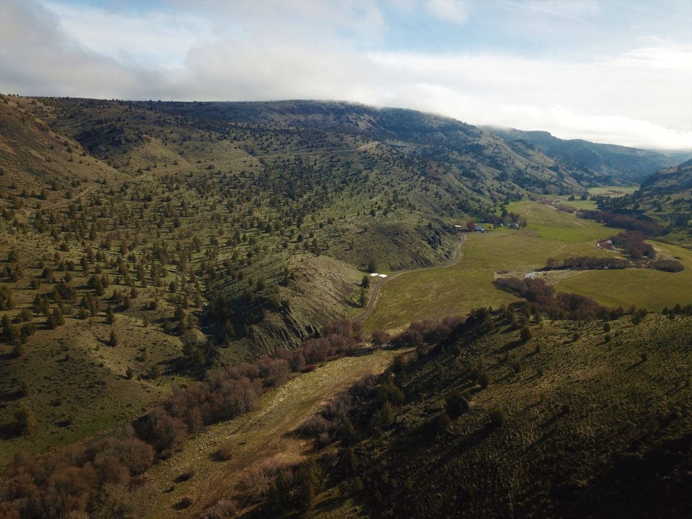 Priday Ranch on Trout Creek featured image