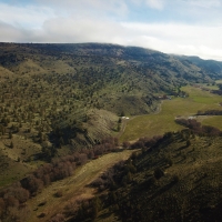 Priday Ranch on Trout Creek