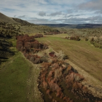 Priday Ranch on Trout Creek images 4