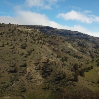 Priday Ranch on Trout Creek images 5