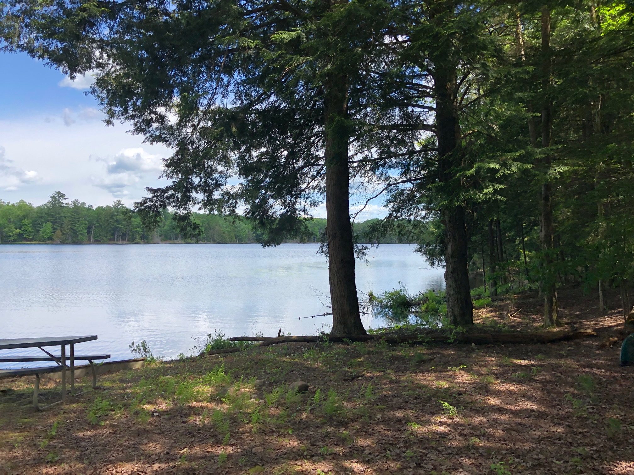 6 acres Waterfront on Francis Lake Constantia NY Hunting Land for