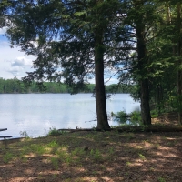 6 acres Waterfront on Francis Lake Constantia NY