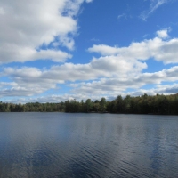 6 acres Waterfront on Francis Lake Constantia NY images 2