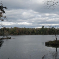 6 acres Waterfront on Francis Lake Constantia NY images 6
