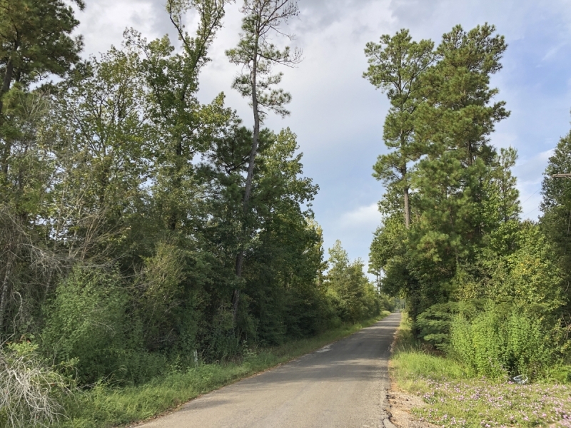 19.54 Acres Milvid Road Tract 3008 featured image