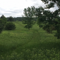 38 acres Along Sandy Creek Gorge Lorraine NY images 2