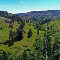 Silver Creek Elk Preserve