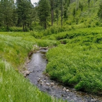 Silver Creek Elk Preserve images 3