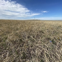 Belle Fourche Valley Double Well Cattle Ranch images 3