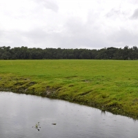 East Zolfo Springs Acreage