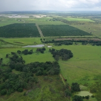 East Zolfo Springs Acreage images 2