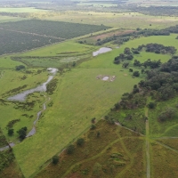 East Zolfo Springs Acreage images 3