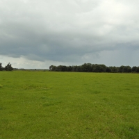 East Zolfo Springs Acreage images 5