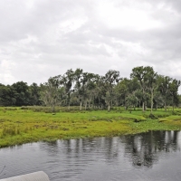 East Zolfo Springs Acreage images 6