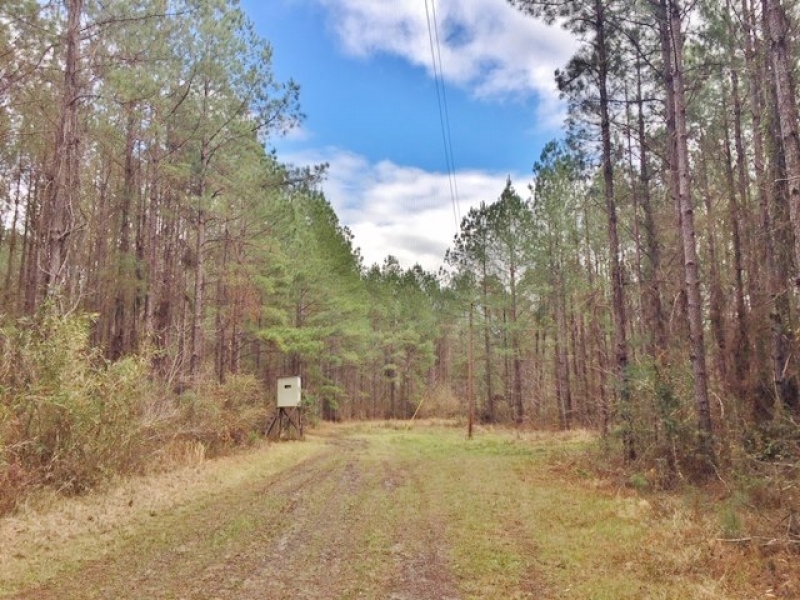 Adjoins NF- Utilities- Creek featured image