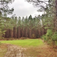 Adjoins NF- Utilities- Creek images 2